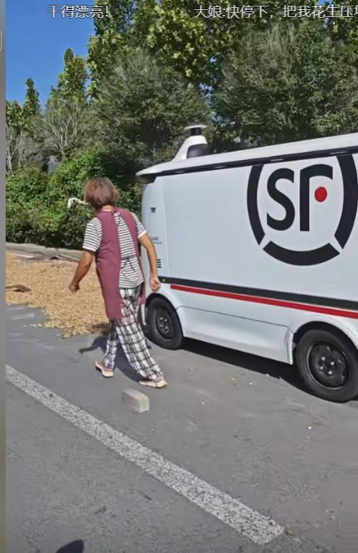 笑翻了！无人驾驶快递车压到大妈晒的BWIN花生被拦下挨打了！(图1)