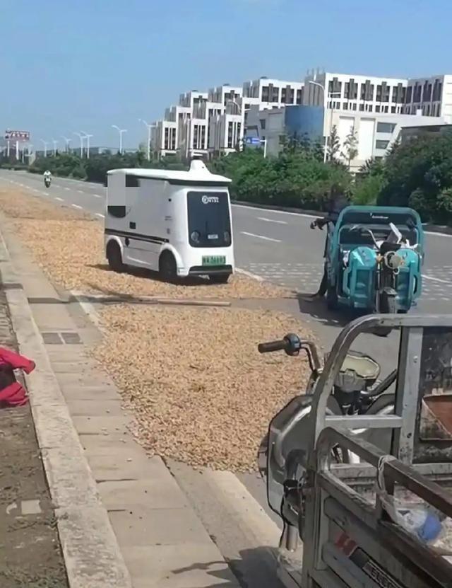 笑翻了！无人驾驶快递车压到大妈晒的BWIN花生被拦下挨打了！(图7)