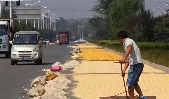 笑翻了！无人驾驶快递车压到大妈晒的BWIN花生被拦下挨打了！(图6)