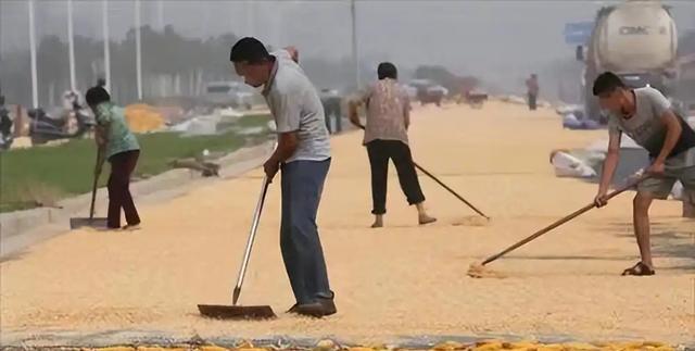 笑翻了！无人驾驶快递车压到大妈晒的BWIN花生被拦下挨打了！(图5)