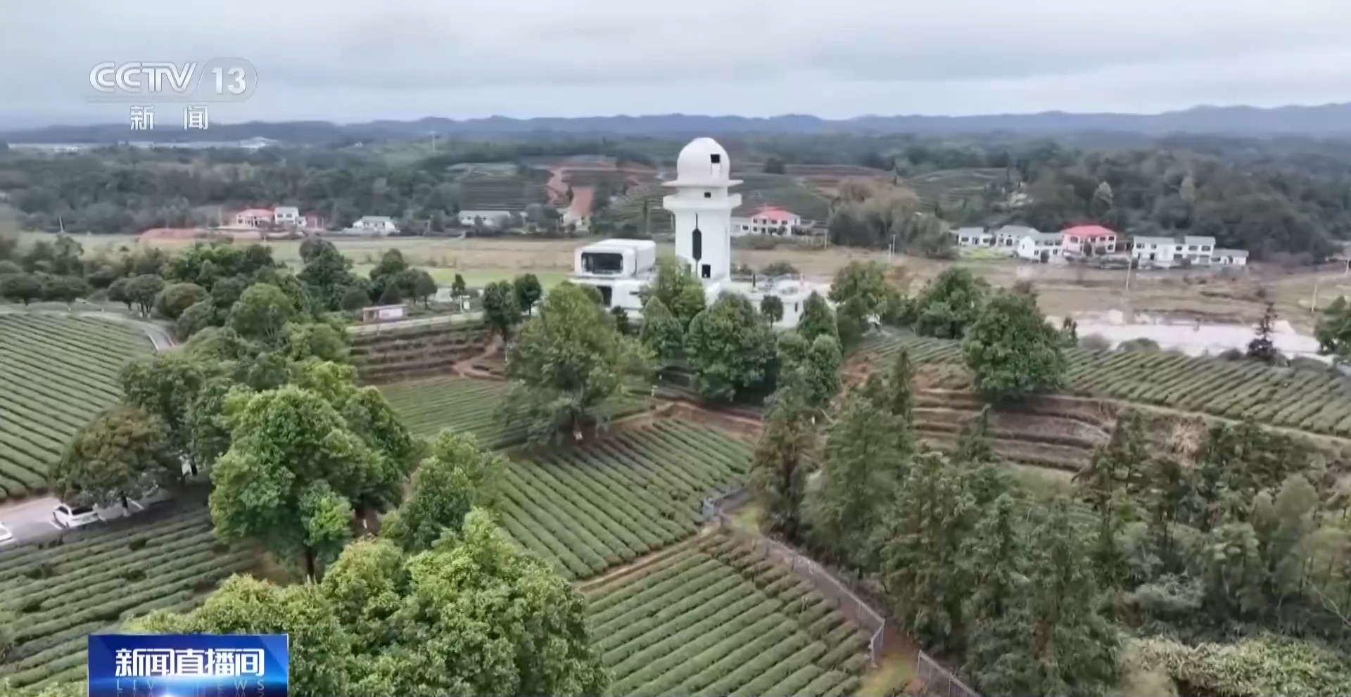 从“买商品”转为“享生活” 我国县域商业加速焕新(图5)