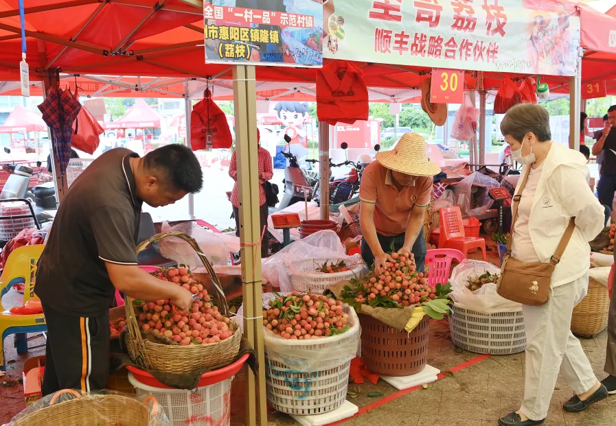 赴一场荔约寻一抹红韵广东惠阳镇隆荔枝正式开售(图2)