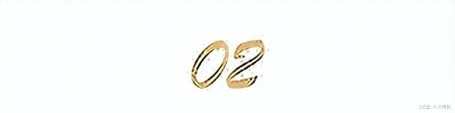 必赢网址俄军猛烈报复乌克兰3个地区被变成停尸房：数十名德国军官被杀(图5)